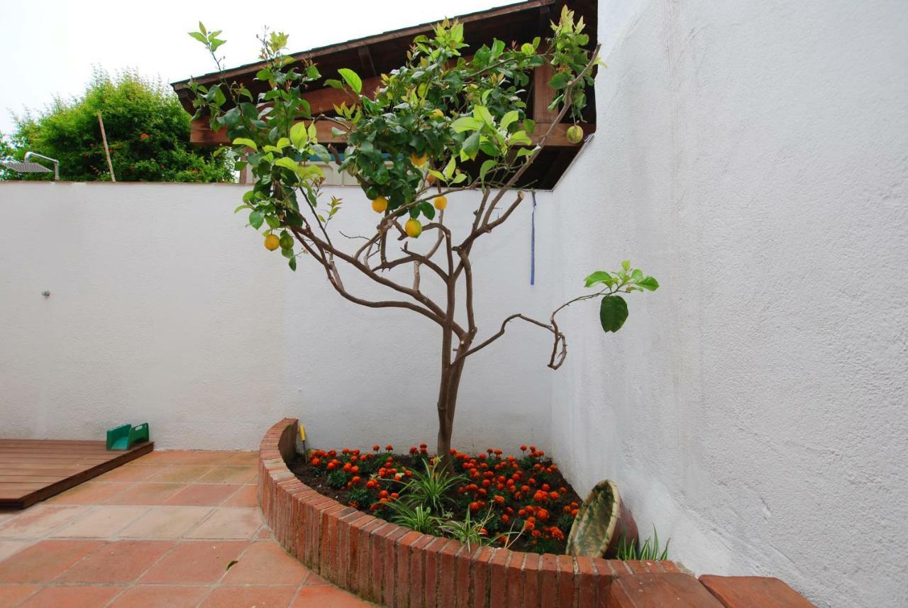 The Painter'S Home Vilassar De Mar Kültér fotó